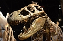 Kids_PNaSMuseum-2013 (9)